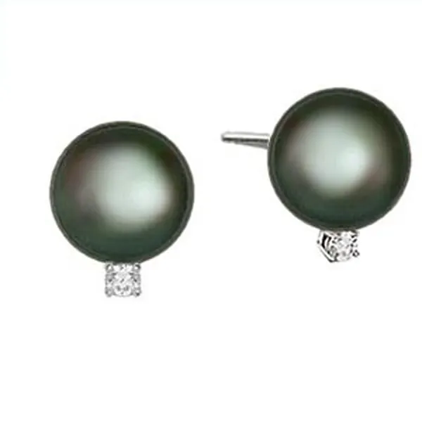 Tahitian Pearl Stud Earrings Cornell's Jewelers Rochester, NY
