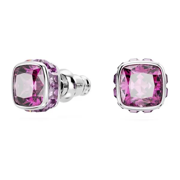 Swarovski February Crystal Stud Earrings Cornell's Jewelers Rochester, NY
