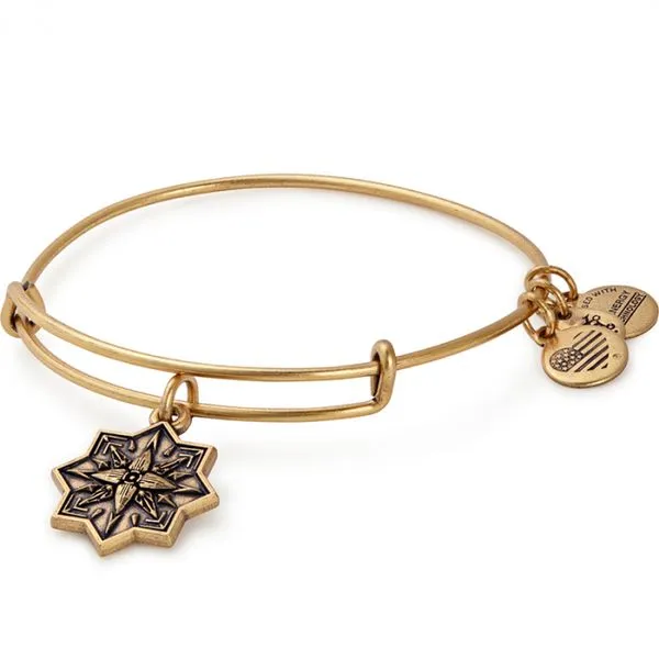 alex and ani endless love