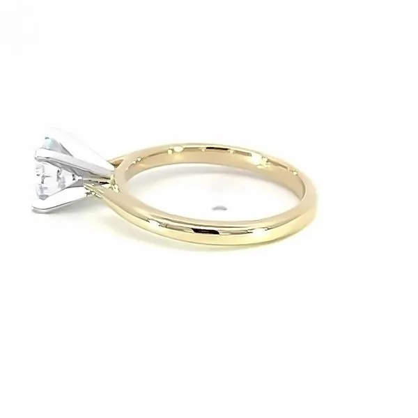 Semi-Mount Ring Image 2 Cozzi Jewelers Newtown Square, PA