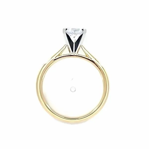 Semi-Mount Ring Image 5 Cozzi Jewelers Newtown Square, PA