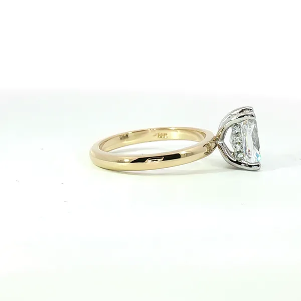 Semi-Mount Ring Image 3 Cozzi Jewelers Newtown Square, PA