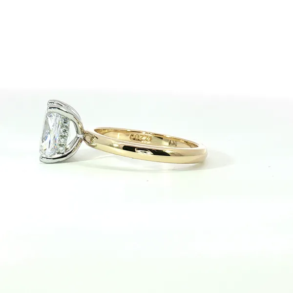 Semi-Mount Ring Image 4 Cozzi Jewelers Newtown Square, PA