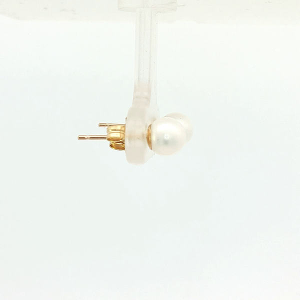 Earrings Image 5 Cozzi Jewelers Newtown Square, PA