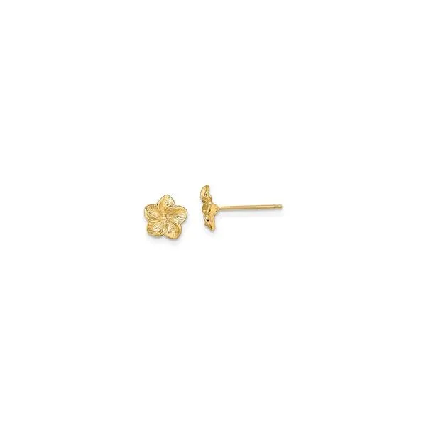 Earrings Cravens & Lewis Jewelers Georgetown, KY