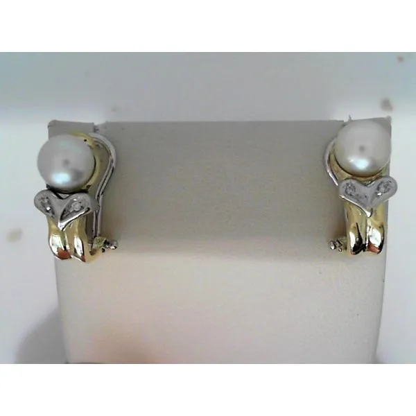 Earrings Daniel Jewelers Brewster, NY