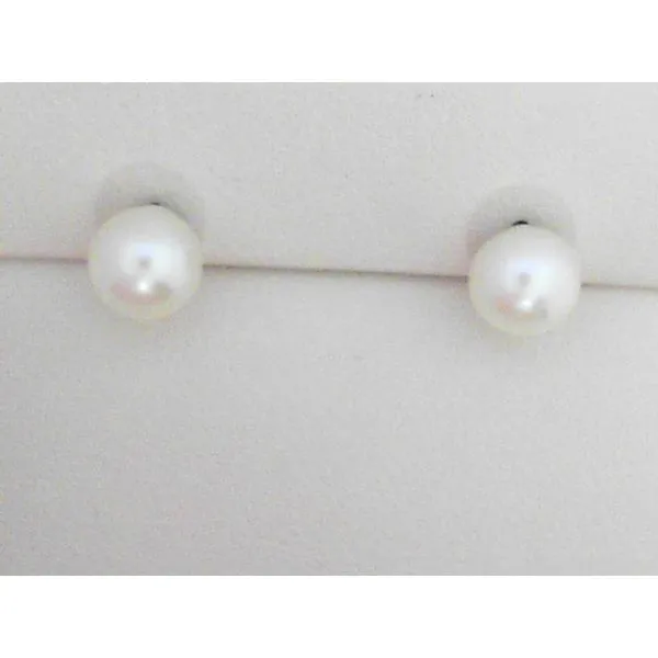 Pearl Earrings Daniel Jewelers Brewster, NY