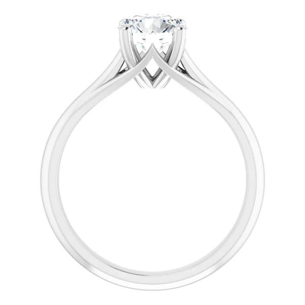Lab Diamond Engagement Ring | 1 ct. Image 2 David Douglas Diamonds & Jewelry Marietta, GA