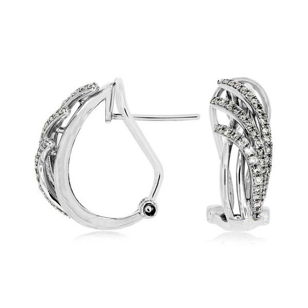 14k Flowing Diamond Earrings David Douglas Diamonds & Jewelry Marietta, GA