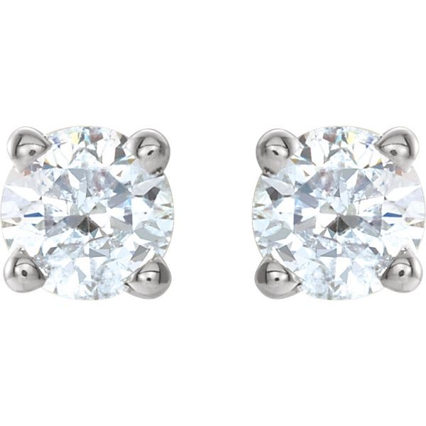 14k White 1/4 CTW Diamond Earrings | Select David Douglas Diamonds & Jewelry Marietta, GA