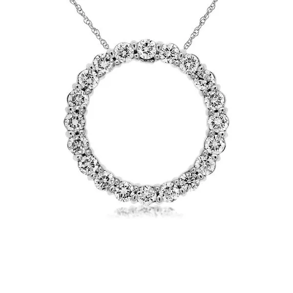 14k Diamond Circle Necklace David Douglas Diamonds & Jewelry Marietta, GA