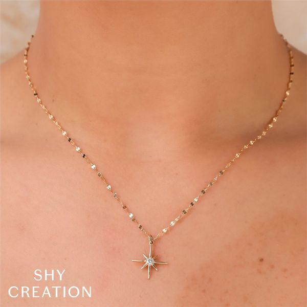 North Star Necklace Image 2 David Douglas Diamonds & Jewelry Marietta, GA