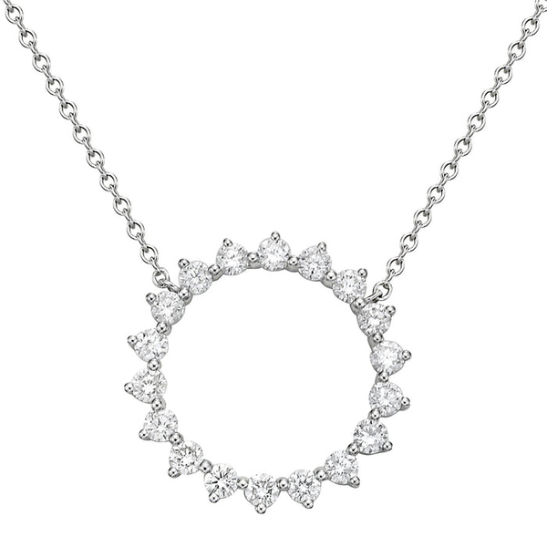 Classic Circle Necklace David Douglas Diamonds & Jewelry Marietta, GA
