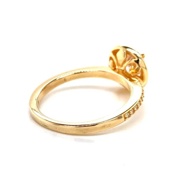 14k Halo Style Moissanite Ring