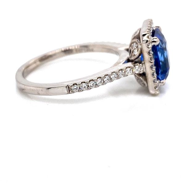 14k Sapphire Halo Engagement Ring Image 3 David Douglas Diamonds & Jewelry Marietta, GA