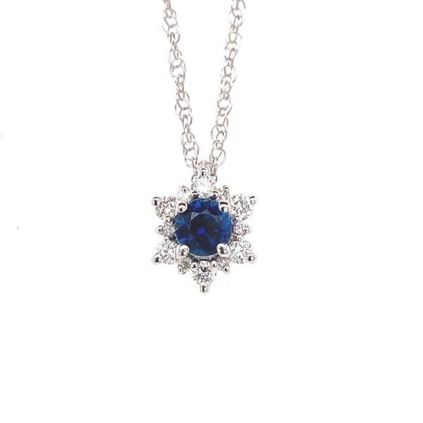 14k Cluster Halo Gemstone Necklace David Douglas Diamonds & Jewelry Marietta, GA