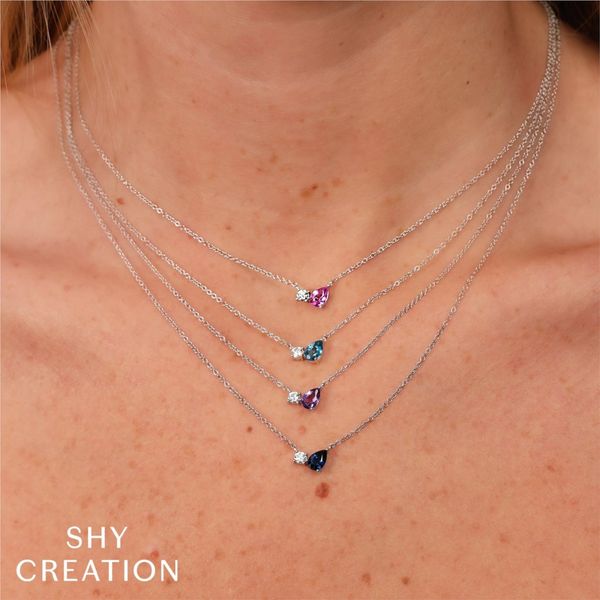 Two-Stone Necklace Image 2 David Douglas Diamonds & Jewelry Marietta, GA