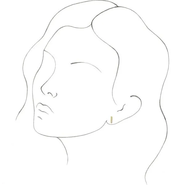 Bar Earrings
