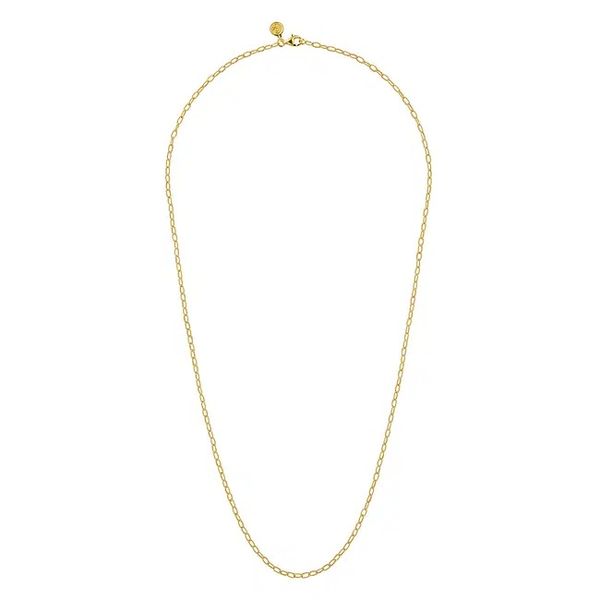 Open Link Necklace Image 2 David Douglas Diamonds & Jewelry Marietta, GA