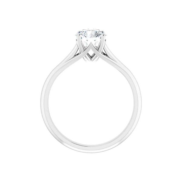 Platinum Diamond Engagement Ring Image 2 David Douglas Diamonds & Jewelry Marietta, GA