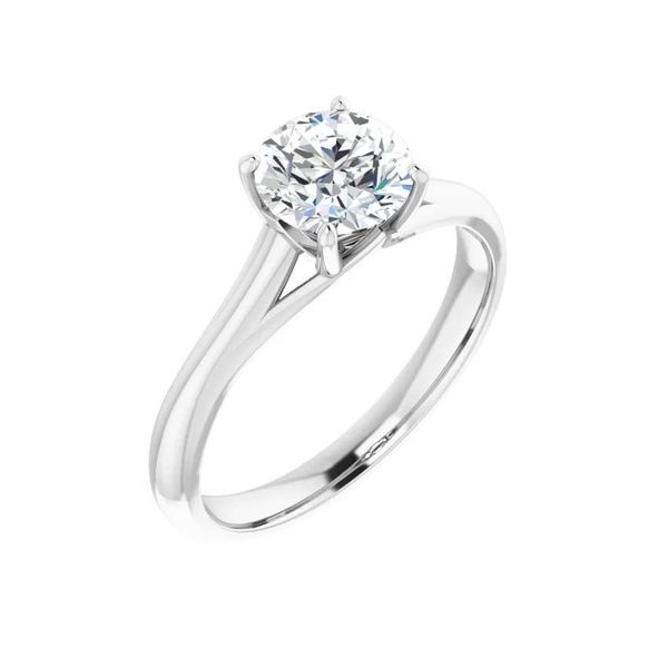 Platinum Diamond Engagement Ring David Douglas Diamonds & Jewelry Marietta, GA