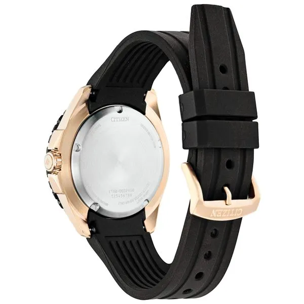 Promaster Dive