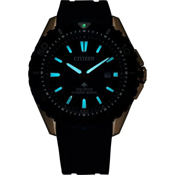 Promaster Dive
