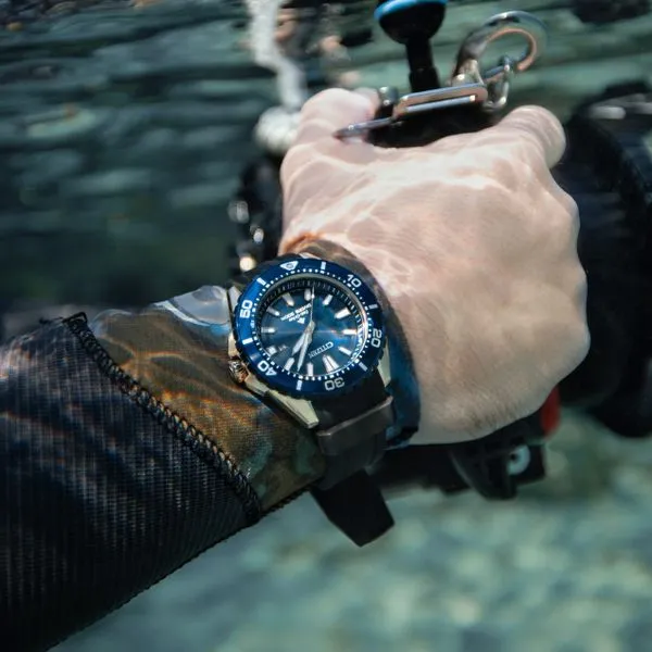Promaster Dive
