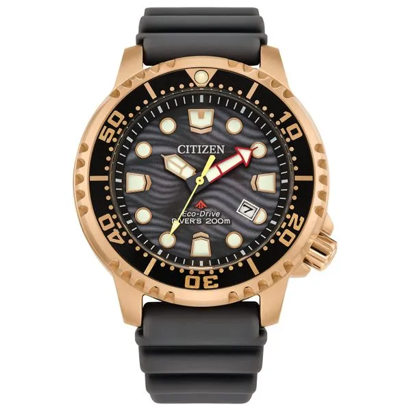 Promaster Dive