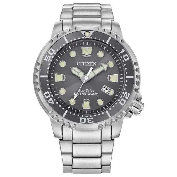 Promaster Dive