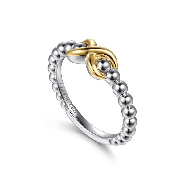 Bujukan Infinity Ring Image 3 David Douglas Diamonds & Jewelry Marietta, GA