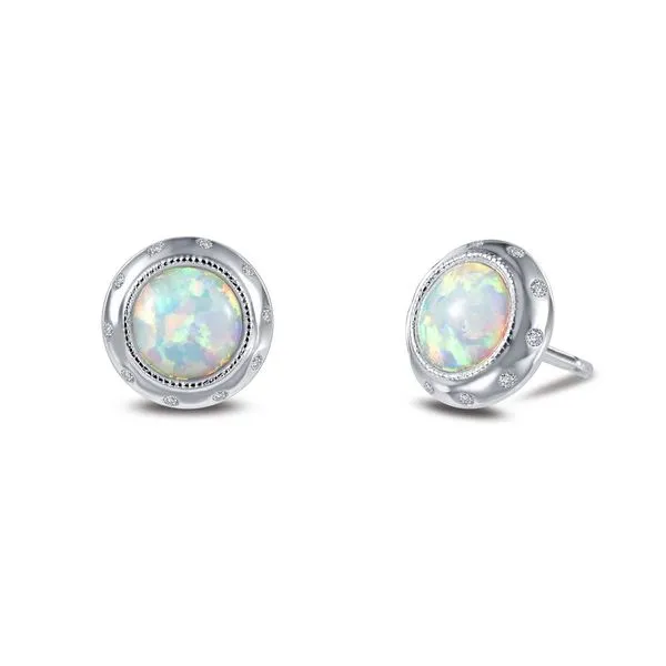 Silver Bezel Style Earrings David Douglas Diamonds & Jewelry Marietta, GA