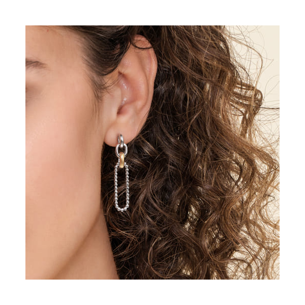 Bujukan Dangle Earrings Image 3 David Douglas Diamonds & Jewelry Marietta, GA