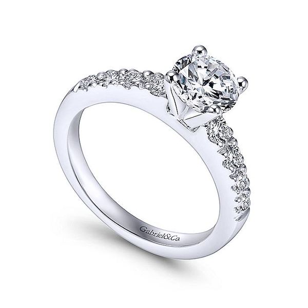 Wyatt 14k White Gold Round Straight Engagement Ring Image 3 David Douglas Diamonds & Jewelry Marietta, GA