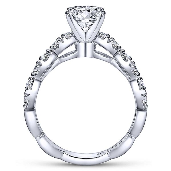 Rowan 14k White Gold Round Straight Engagement Ring Image 2 David Douglas Diamonds & Jewelry Marietta, GA