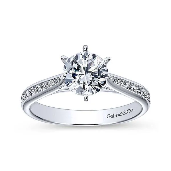 Danielle 14k White Gold Round Straight Engagement Ring thumb image 5