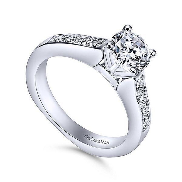 Anderson 14k White Gold Round Straight Engagement Ring Image 3 David Douglas Diamonds & Jewelry Marietta, GA