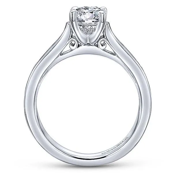 Jayden 14k White Gold Round Straight Engagement Ring thumb image 2