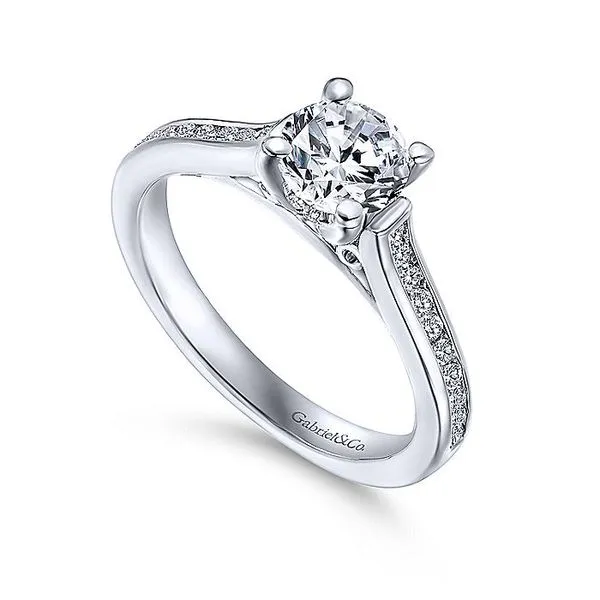 Jayden 14k White Gold Round Straight Engagement Ring thumb image 3