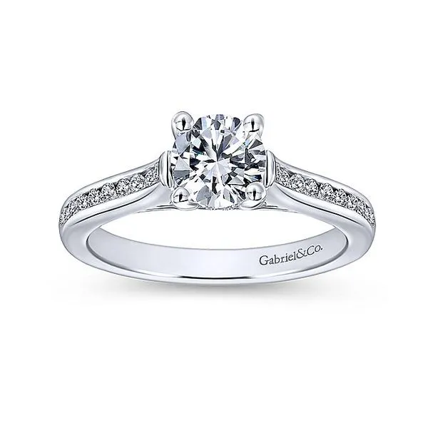 Jayden 14k White Gold Round Straight Engagement Ring thumb image 5