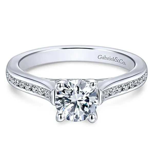 Jayden 14k White Gold Round Straight Engagement Ring thumb image 1