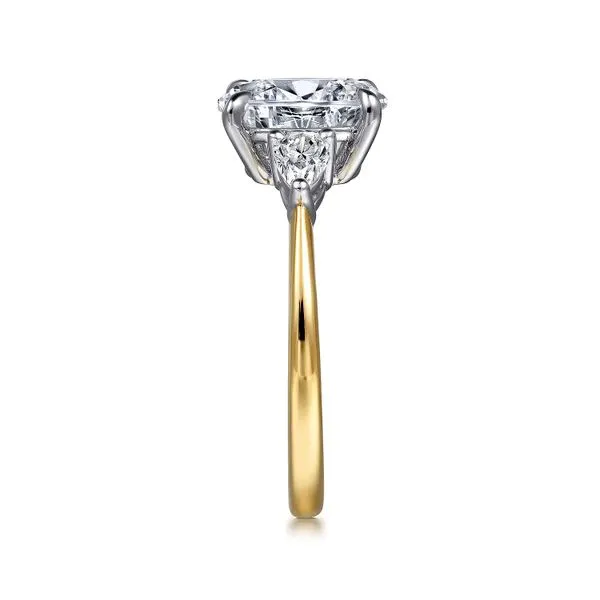Customizable | Three Stone Engagement Ring