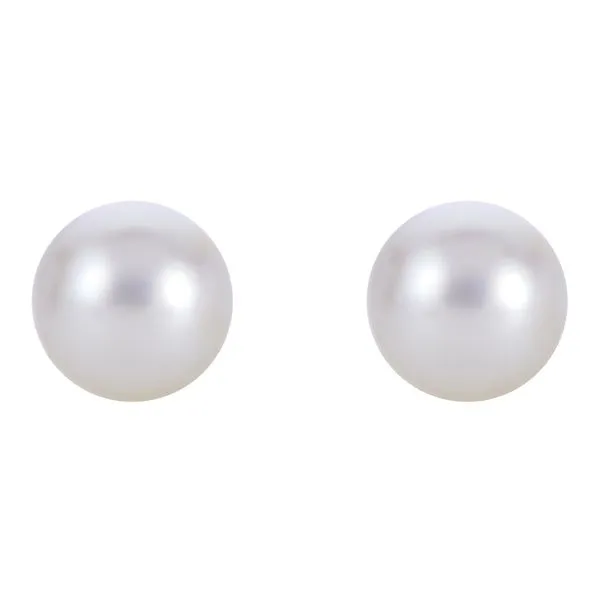 14K White Gold 2 Akoya Pearls D'Errico Jewelry Scarsdale, NY