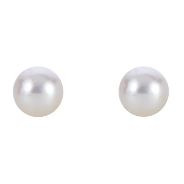 14K White Gold 2 Akoya Pearls D'Errico Jewelry Scarsdale, NY