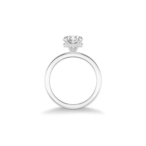 DeScenza Collection Diamond Engagement Ring Image 2 DeScenza Diamonds Boston, MA