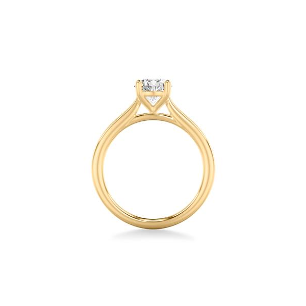 DeScenza Collection Diamond Engagement Ring Image 2 DeScenza Diamonds Boston, MA