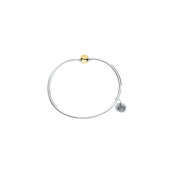 Sterling Silver & Yellow Gold 6