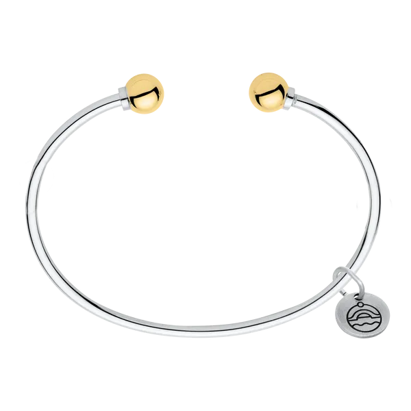 Sterling Silver & Yellow Gold 6