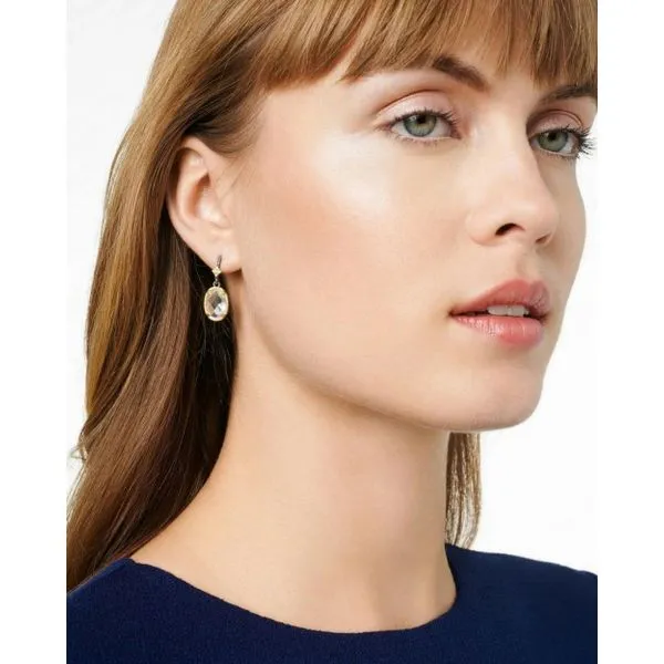 Freida Rothman Dangle Earrings Image 2 DeScenza Diamonds Boston, MA