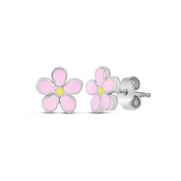 Sterling Silver Enamel Earrings DeScenza Diamonds Boston, MA